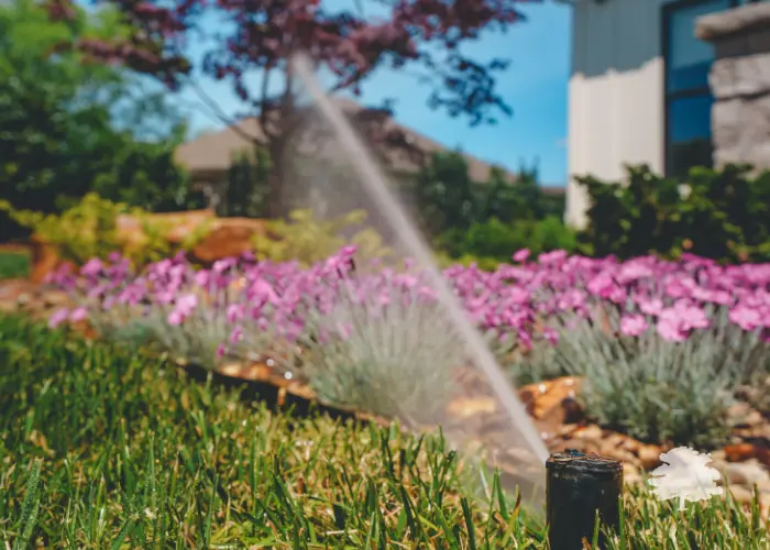 loys-landscape-irrigation-services